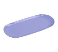 Plateau à bijoux ovale en acier inoxydable pour salle de bain, service décoratif pour fruits, bijoux, cosmétiques, serviettes de table décoratives ovales
