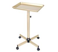 Plateau de salon, plateau de salon en aluminium avec roulettes, idéal comme plateau de tatouage et plateau dentaire..