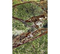 Plateau de Table pour Bell Side Table Table d´appoint ClassiCon Rainforest Green - 4250682808722