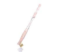 PLCPDM Porte-stylo à plume, porte-plume oblique réglable pour et adultes, dessin artistique, calligraphie, verre de calligraphie pour débutants, écriture de livres, stylos et ensemble