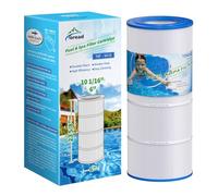 Pleatco PAP100 Filtre de rechange compatible avec PAP100-4, Unicel C-9410, Filbur FC-0686, R173215, 59054200, Pentair Clean & Clear 100, CC100, SP100 Predator 100, 100 m² 1 cartouche