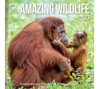 Plenty Gifts Calendrier 2027 - Calendrier mural Amazing Wildlife - Calendrier mensuel - 16 mois - 30 x 30 cm