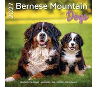 Plenty Gifts Calendrier 2027 - Calendrier mural Bouvier Bernois - Calendrier mensuel - 16 mois - 30 x 30 cm
