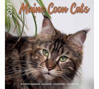 Plenty Gifts Calendrier 2027 - Calendrier mural Chats Maine Coon - Calendrier mensuel - 16 mois - 30 x 30 cm