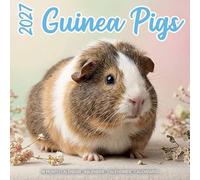 Plenty Gifts Calendrier 2027 - Calendrier mural Cochons d'Inde Studio - Calendrier mensuel - 16 mois - 30 x 30 cm