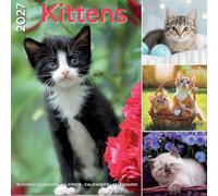 Plenty Gifts Calendrier 2027 - Calendrier mural I Love Kittens - Calendrier mensuel - 16 mois - 30 x 30 cm