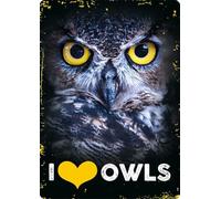 Plenty Gifts Plaque personnalisée - I Love Owls - Plaque décorative en métal - Version Anglaise - 14,8x21cm