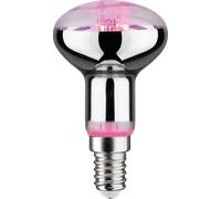 Paulmann Plant ampoule led 1x6.5 W 1300 K E14 28734