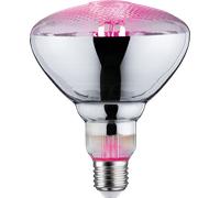 Paulmann Plant ampoule led 1x6.5 W 1300 K E27 28737