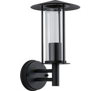 Paulmann Applique murale extérieure Wall Classic 1x15 W IP44 Noir-transparent 94398