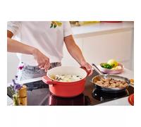 PLUME Cocotte ronde BEKA Fonte Aluminium Revêtue céramique rouge D24 cm
