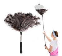 Plumeau autruche télescopique - XVX - Manche extensible longue portée - Pour plafonds stores et surfaces hautes-Nettoyage