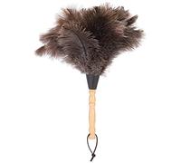 Plumeau en Plume d'Autruche, Attire Les Particules de Poussière Manche en Bois Réutilisable Antistatique Outil de Nettoyage pour Dépoussiéreur en Plume d'Autruche