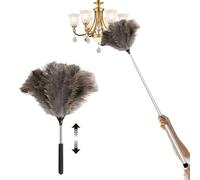 Plumeau extensible en plumes d'autruche extra long pour nettoyer les murs, les plafonds, les lumières des placards