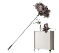 Plumeau Extensible Kit de Nettoyage Lavable avec Manche Télescopique
