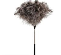 plumeau, Manche extensible, for le nettoyage de la maison, voiture et du bureau, outil antistatique for dépoussiérage(L)