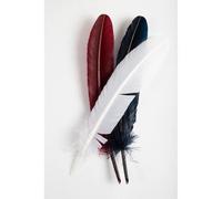 Plumes d'oie taillées 28cm - Assortiment