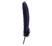 Plumes d'oie taillées 28cm - Bleu