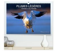 PLUMES LÉGÈRES. Oiseaux du Monde (Calendrier mural haut de gamme 2027 DIN A2 vertical), CALVENDO calendrier mensuel: Treize photos d'oiseaux en ... avec l'oeil d'artiste de philippe Henry