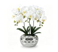 PlusFive Orchidées artificielles en Pot - Fleurs artificielles Blanches Phalaenopsis en Soie, 47cm orchidées artificielles comme Vraies Fleurs Artificielle pour décoration de Table, de Fenêtre
