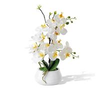 PlusFive Orchidées artificielles en pot - Fleurs artificielles blanches Phalaenopsis en soie, orchidées artificielles comme vraies pour décoration intérieure, décoration de table, décoration de rebord