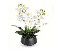 PlusFive Orchidées artificielles en Pot - Phalaenopsis Fleurs artificielles Blanches en Soie - 37 cm Orchidées artificielles comme véritables pour décoration intérieure, décoration de Table