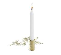 Pluto Design Bougeoir Tall Petit Doré