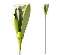 Pluviomètre de jardin design vert anis