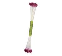 PME STAM12PL Set de 50 Etamines pour Fleurs, Plastique, Violet, 0.1 x 0.1 x 7.4 cmSTAM12PL