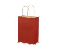 Pochette Cadeau Sacs en papier kraft | Étiquette, cadeau de vacances, emballage de restauration rapide à emporter, thé au lait et café(15x8x21cmx10pcs-02)