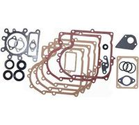 Pochette De Joints Adaptable Pour Briggs & Stratton. Remplace Origine: 495993.