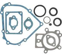 Pochette De Joints Adaptables Briggs & Stratton. Remplace Origine 798800.