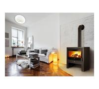 POELE A BOIS DEVILLE CASTILLON C077BR-06