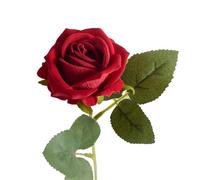 pofluany Rose Artificielle en Tissu, Fausses Fleurs, Branche de Rose avec Tige, pour la Maison, fête Mariage, Arrangement Floral, décoration Jardin intérieur et extérieur, Accessoires Rouge