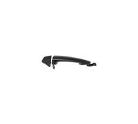 Poignée de porte extérieure à peindre BMW Série 3 F30-F31 2012-2018 - 51217207564