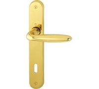 Poignée de porte Türklinke modèle VERONA, plaque de fixation BB 90, en laiton poli