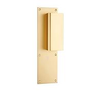 Poignée palière aluminium type Bastille 70x250mm champagne bec de cane - HERACLES - I-231102