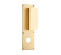 Poignée palière aluminium type Bastille 70x250mm champagne trou de 32 - HERACLES - I-231102TR32