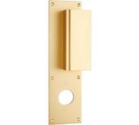 Poignée palière aluminium type Bastille 70x250mm champagne trou de 34 - HERACLES - I-231102TR34