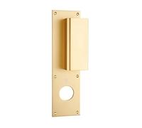 Poignée palière aluminium type Bastille 70x250mm champagne trou de 40 - HERACLES - I-231102TR40