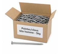 Pointes/clous tête homme - 5kg - 2,2x40
