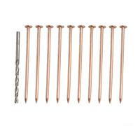 Pointes pour cuivre 80mm Élimination Racines Jardinage Pointes | pour cuivre pur 99%, libère ions toxiques, tue souches rapidement, 80mm longueur, usage extérieur