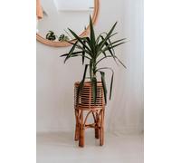 Pollie S Support pour plantes caramel rotin naturel style boho