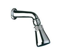 Pomme de douche - DELABIE - GYM CONFORT EXTRA - Anti-tartre - Economie d'eau - Chromé
