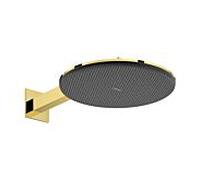 Hansgrohe Douche de tête Raindance Alive S 30 cm, 2 jets, EcoSmart, or poli