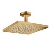 Hansgrohe Tête de douche 26251140