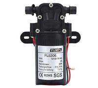 Pompe à diaphragme 36W, mini pompe à eau double tube droit agricole pompe à eau électrique à membrane pour équipement haute pression, pulvérisateur agricole(DC12V)