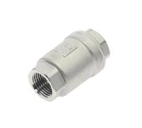 Pompe à eau à clapet anti-retour vertical en acier inoxydable 304, 1/2 3/4 1-1/2 1-1/4 1 pouce, vanne unidirectionnelle for tuyau d'eau DN15/20/25/32/40/50(2")