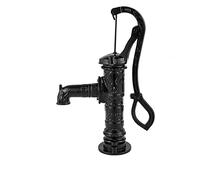 Pompe à eau de fer antique Pigion pichet de pompe en fonte for les étangs de jardinage de jardin de jardin de jardin bien ornement décoration