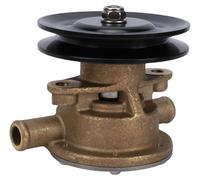Pompe à eau de mer 128377-42500 : une alternative performante aux modèles 2GM20, 2YM15, 3GM30, 3YM20 et 3YM30